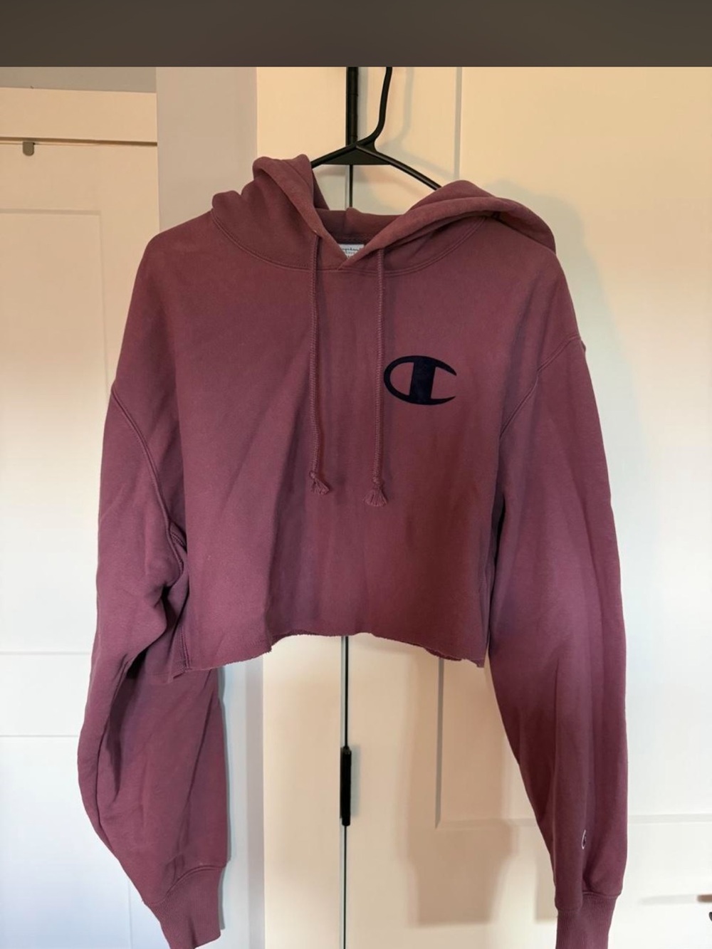 Champion Cropped Hoodie Sweatshirt in Mauve